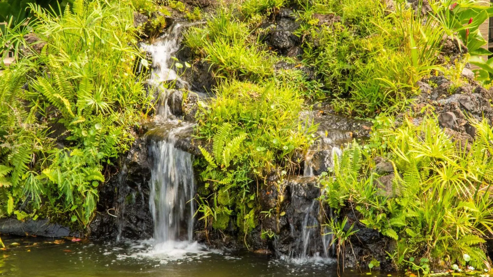 Semesterbostad Papakea A403 Villa Napili-Honokowai